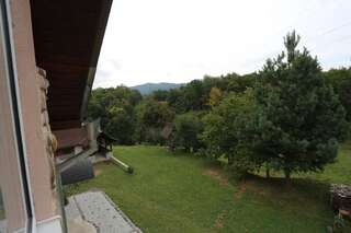 Гостевой дом Fazenda Kosiv Косов Трехместный номер с видом на горы-7